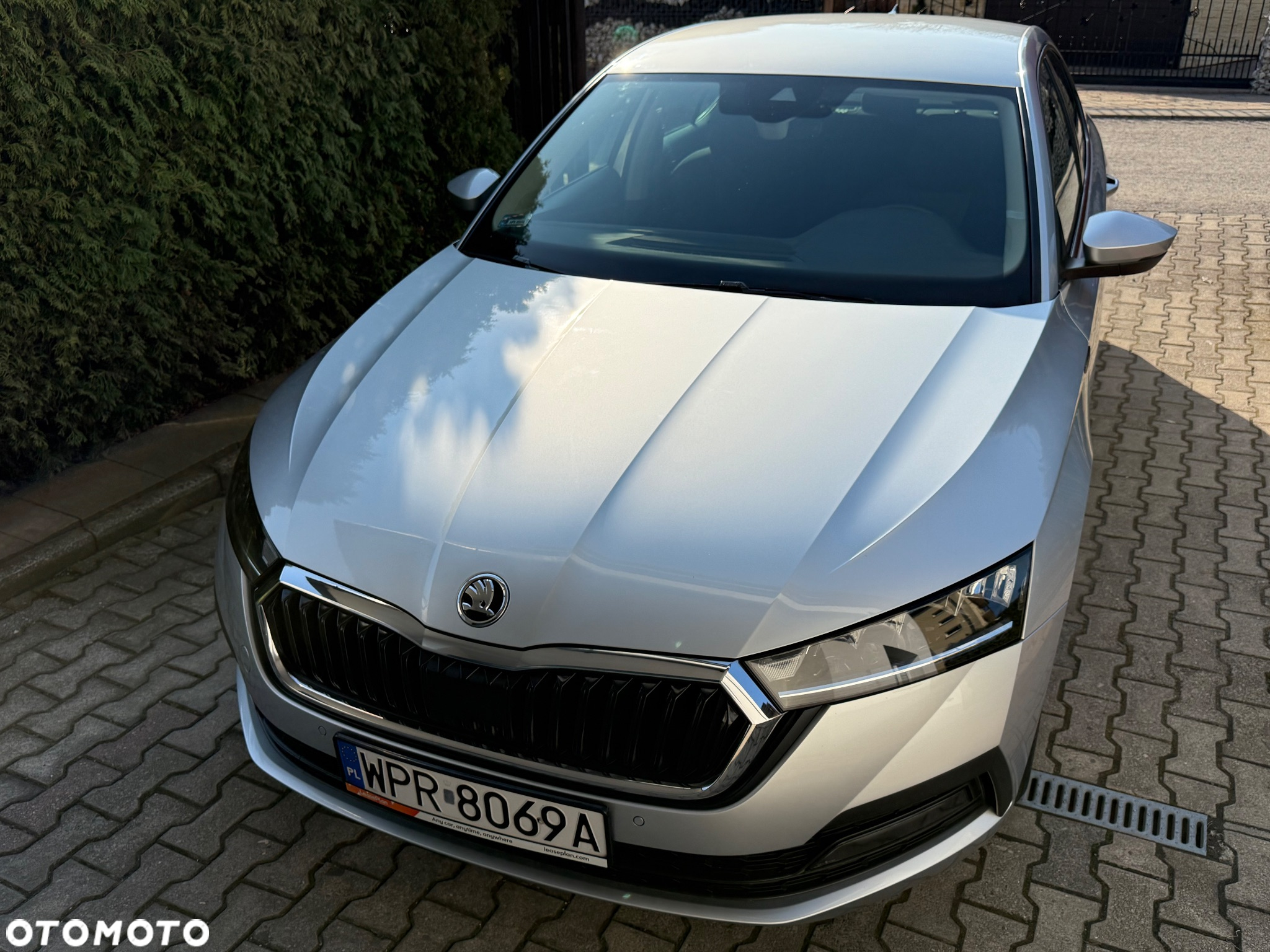 Skoda Octavia 1.0 TSI Ambition - 13