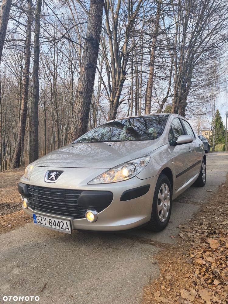 Peugeot 307 - 2