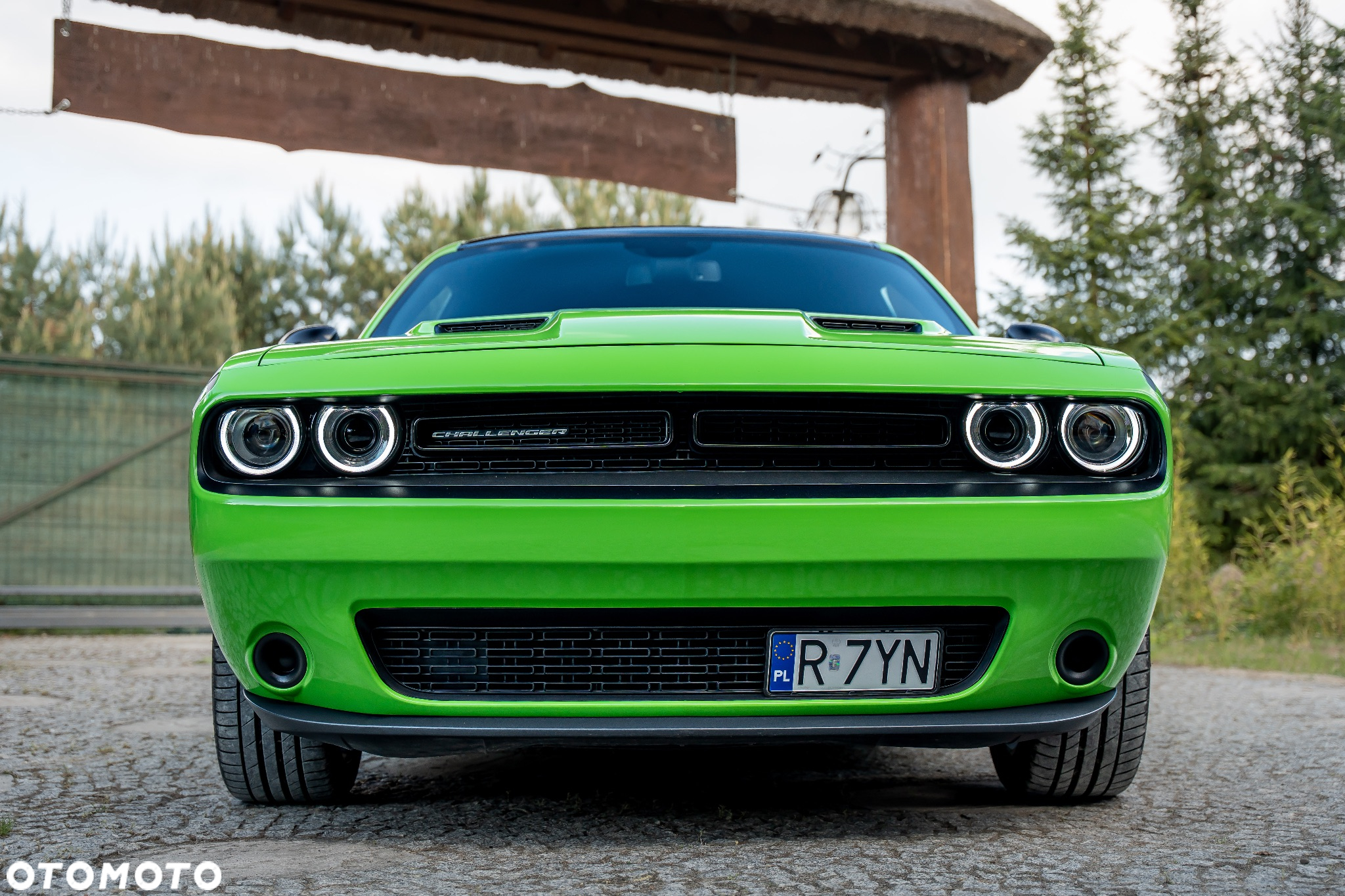 Dodge Challenger Automatik SXT Plus - 20