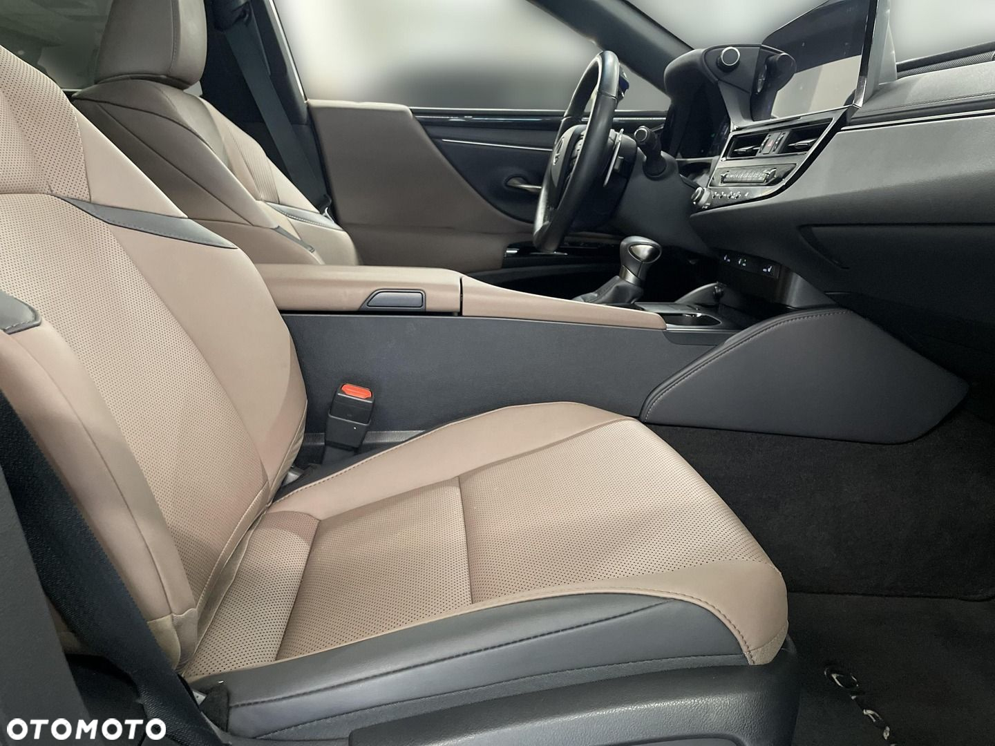 Lexus ES 300h F Sport Design - 13