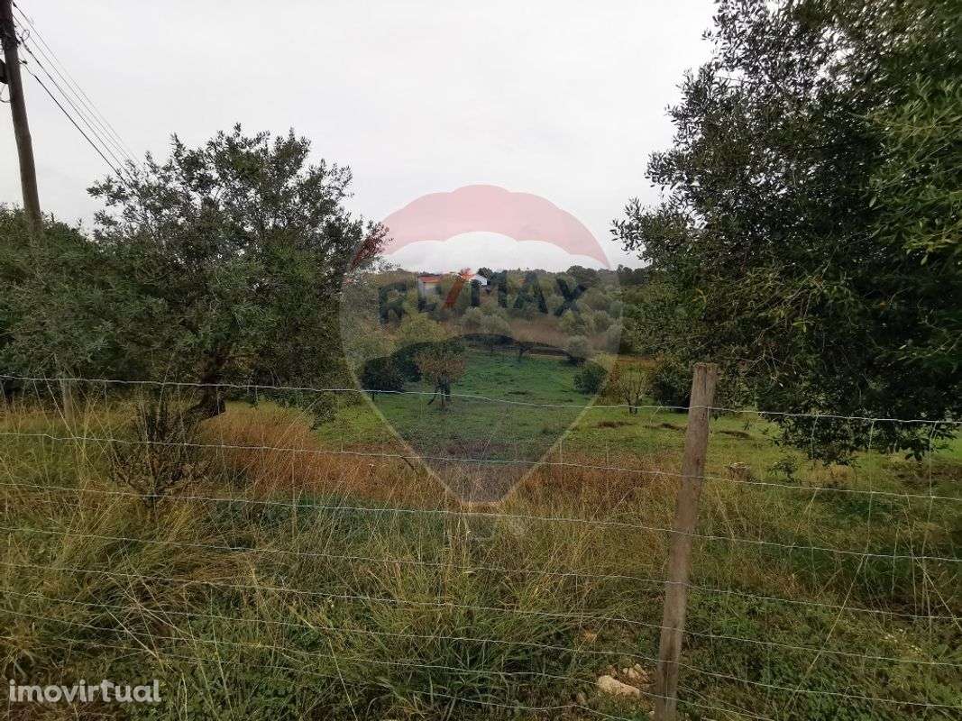 Terreno  para venda - Grande imagem: 3/7