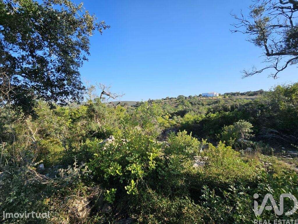 Terreno em Loulé (São Clemente) de 300,00 m2 - Grande imagem: 5/25