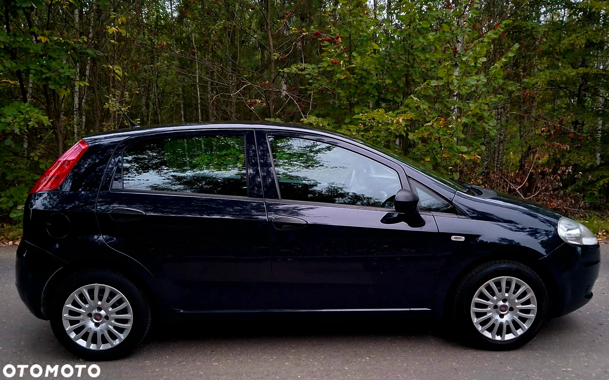 Fiat Grande Punto Actual 1.2 8V Estiva - 8
