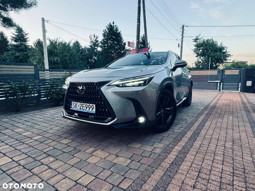 Lexus NX - 11