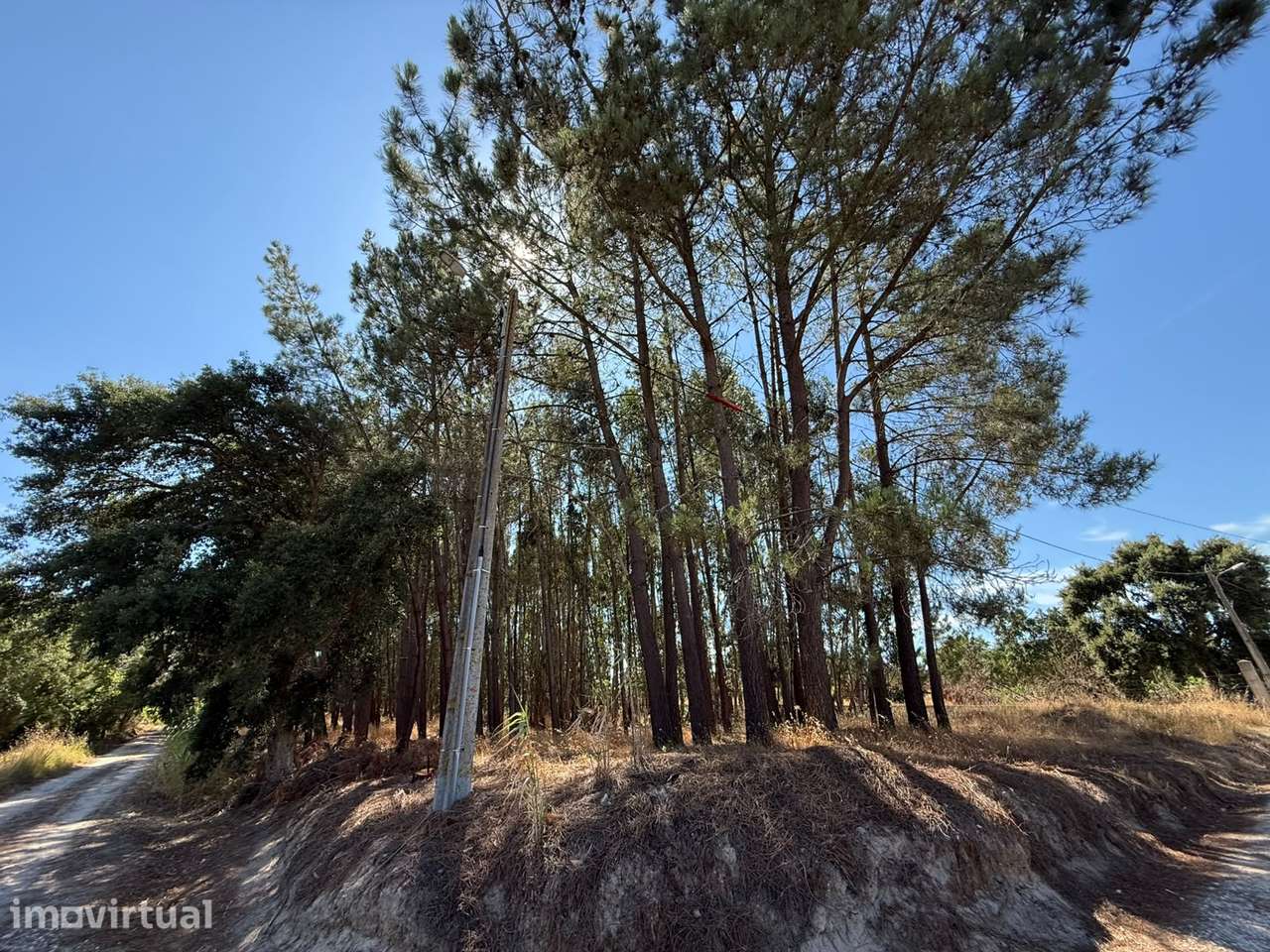 Terreno Rústico com 3.600 m² em Pontével – Cartaxo - Grande imagem: 4/10