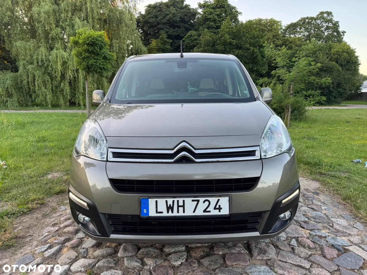 Citroën Berlingo Multispace BlueHDi 100 S&S ETG6 SHINE - 19