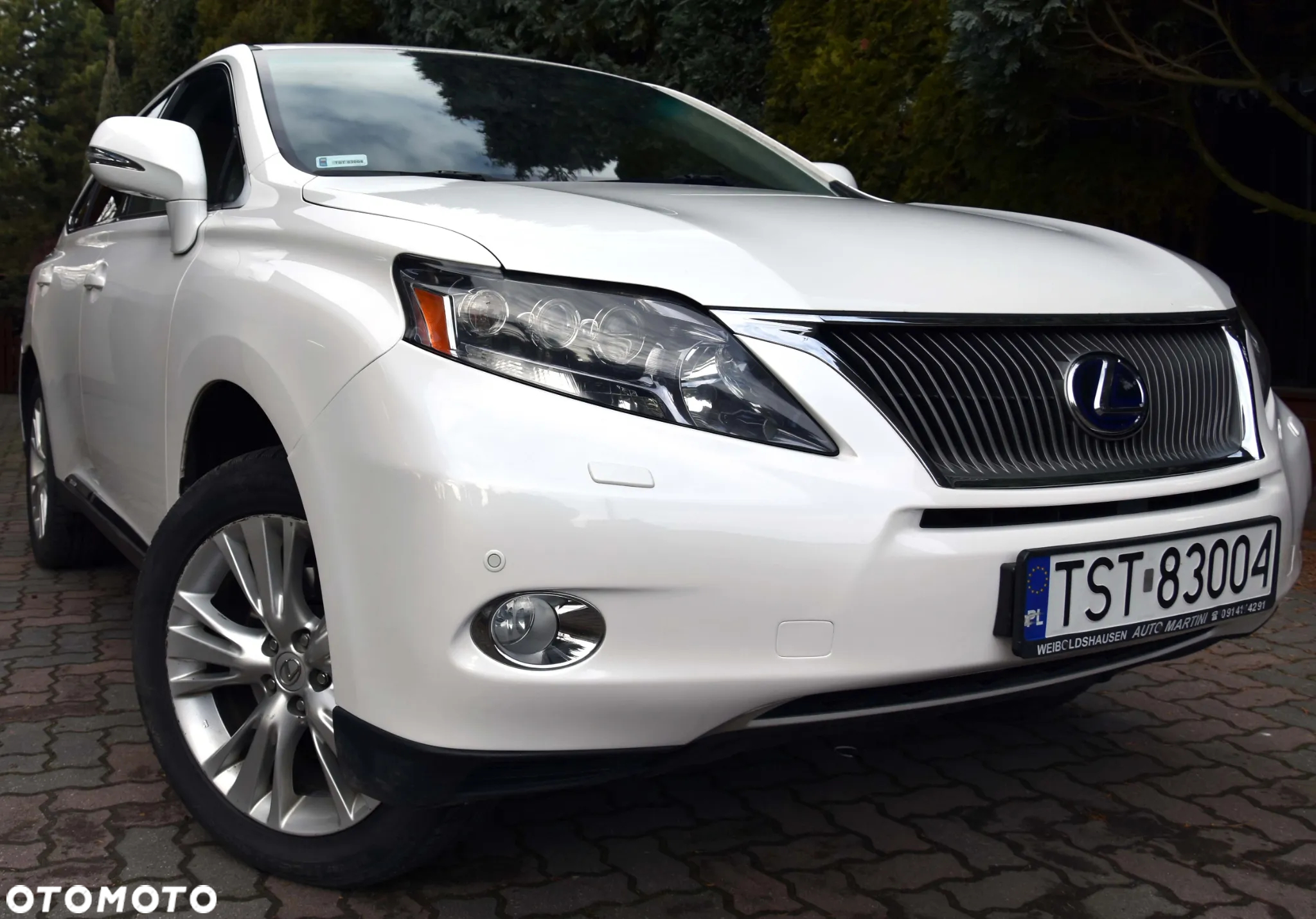 Lexus RX 200t / 300 Prestige - 19