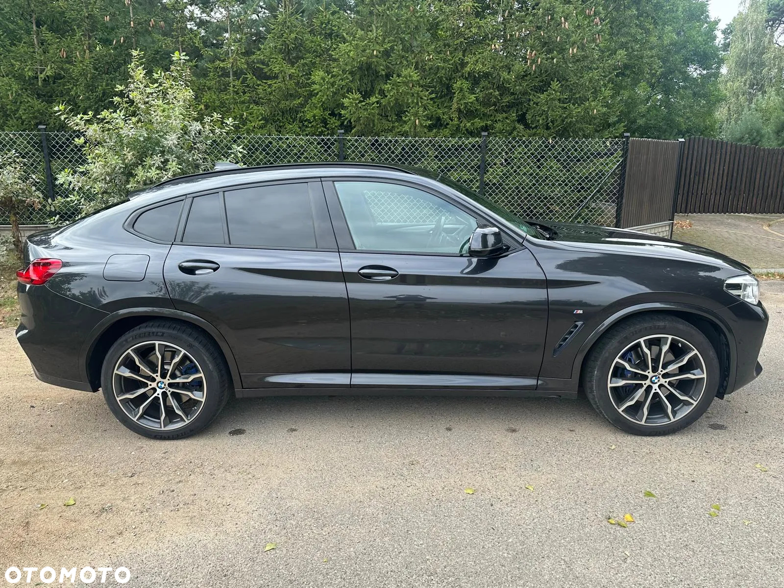 BMW X4 xDrive30d Advantage sport - 4