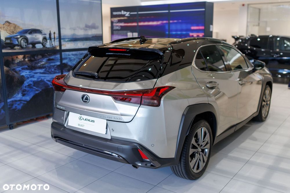 Lexus UX 300h F Sport AWD - 17