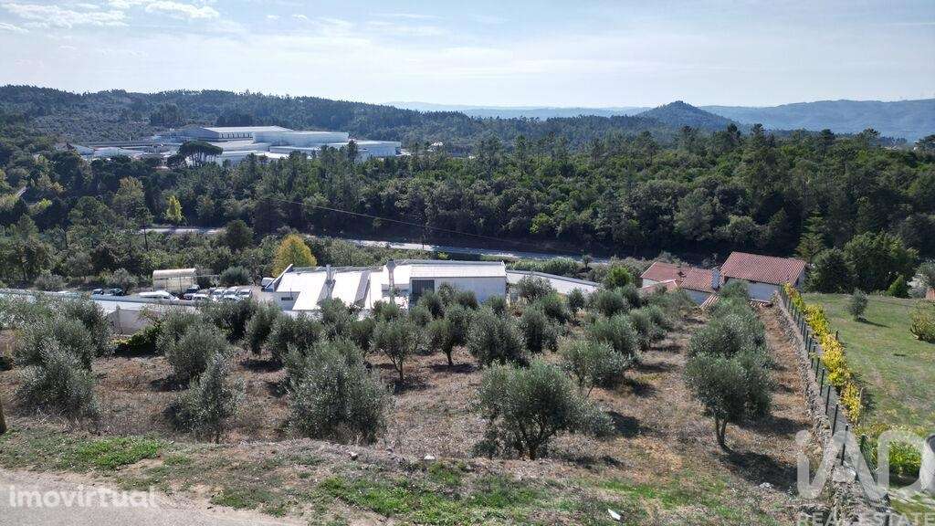 Terreno para construção em São Miguel, Santa Eufémia e Rabaçal - Grande imagem: 5/12