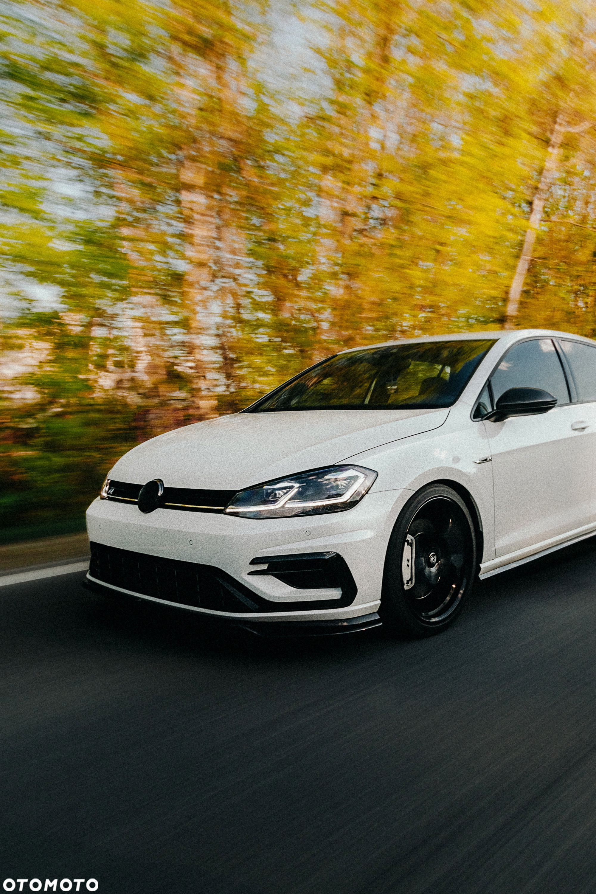 Volkswagen Golf R 4Motion (BlueMotion Technology) DSG - 29