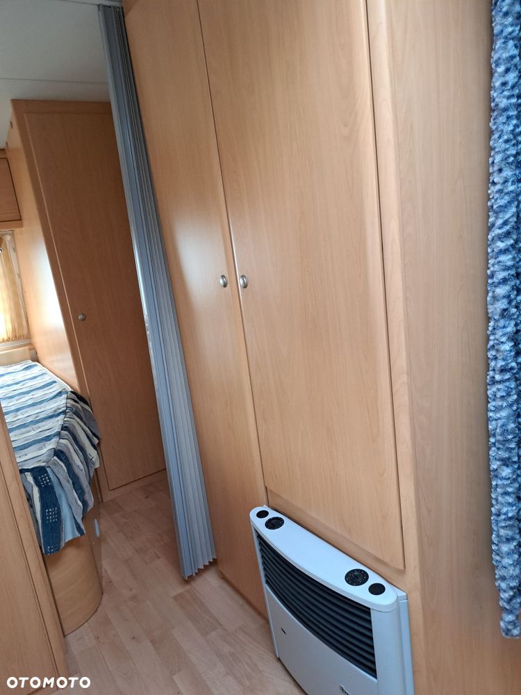 Wilk SPORT 490 - 19