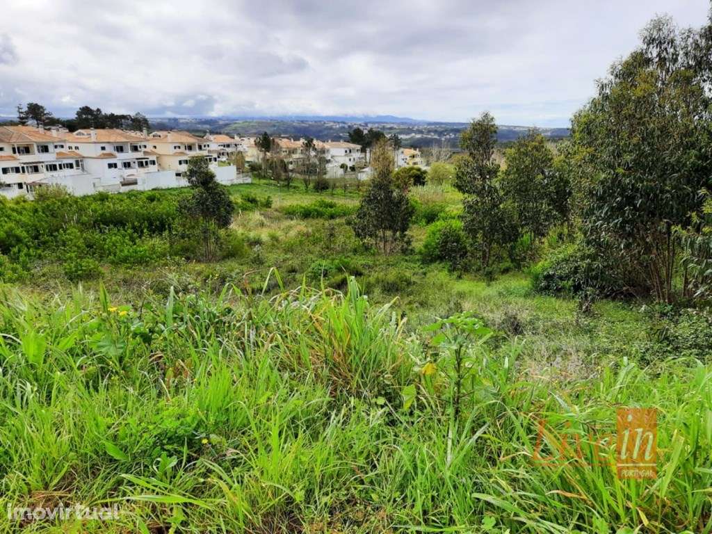 Lote Para Construção de Espaço Comercial em Casa Nova na Ericeira - Grande imagem: 5/9
