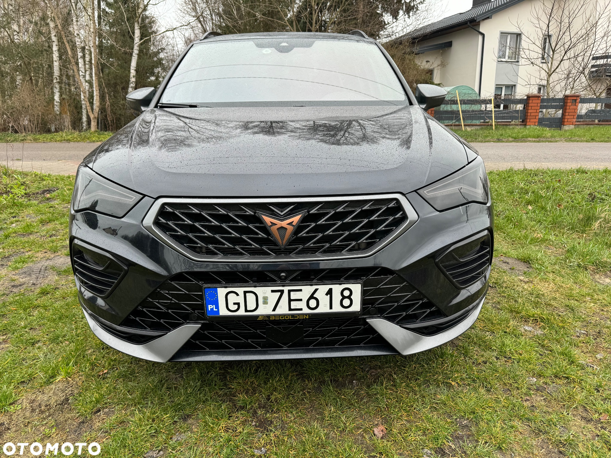 Cupra Ateca - 15