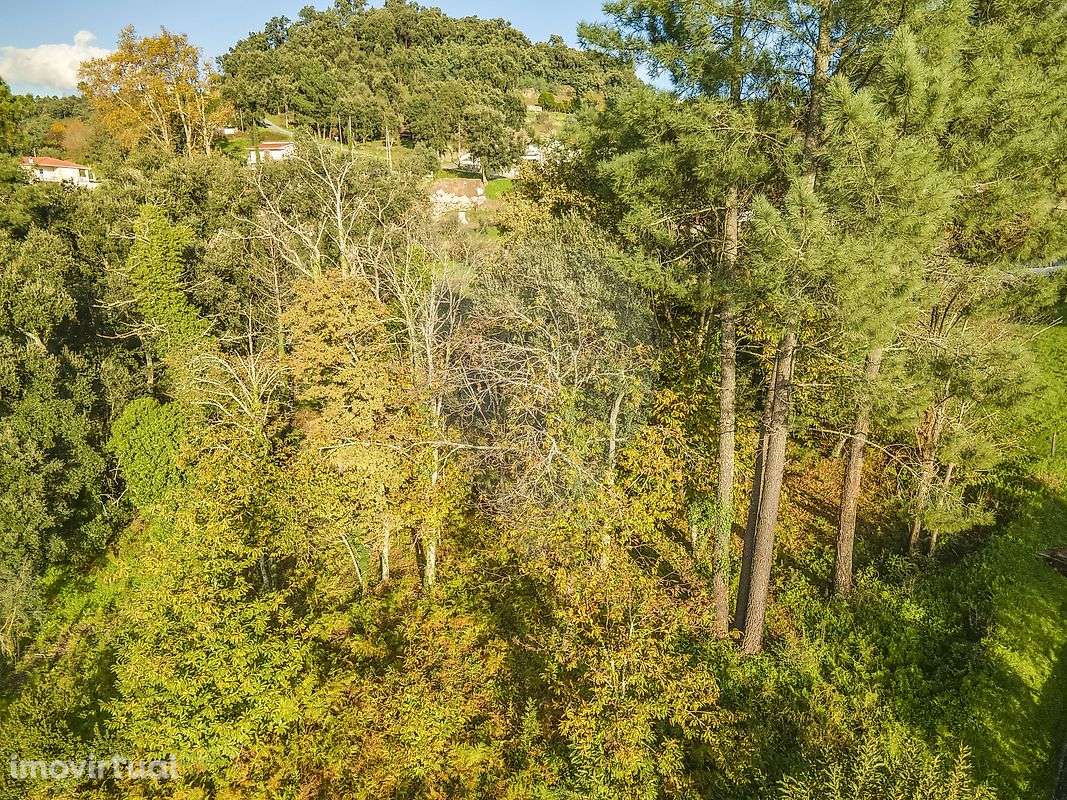 Terreno  para venda - Grande imagem: 3/29