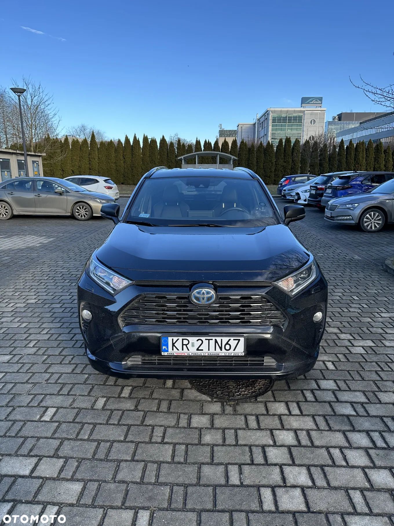 Toyota RAV4 2.5 Hybrid Black Edition by JBL 4x4 - 1