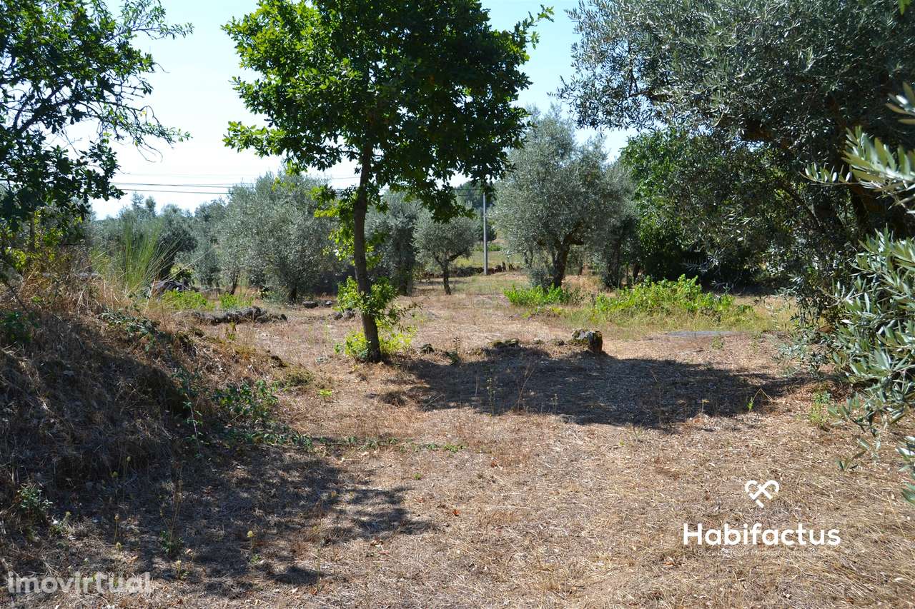 Terreno com viabilidade de construção em Vale Madeiros - Nelas - Grande imagem: 3/5