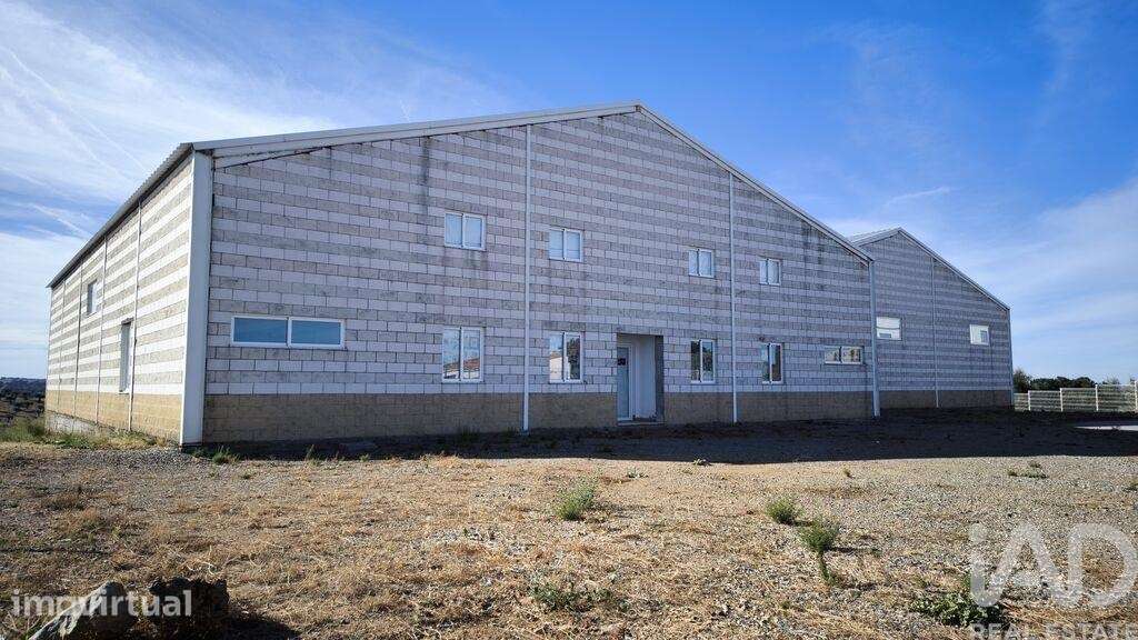 Hangar em Monforte de 800,00 m2