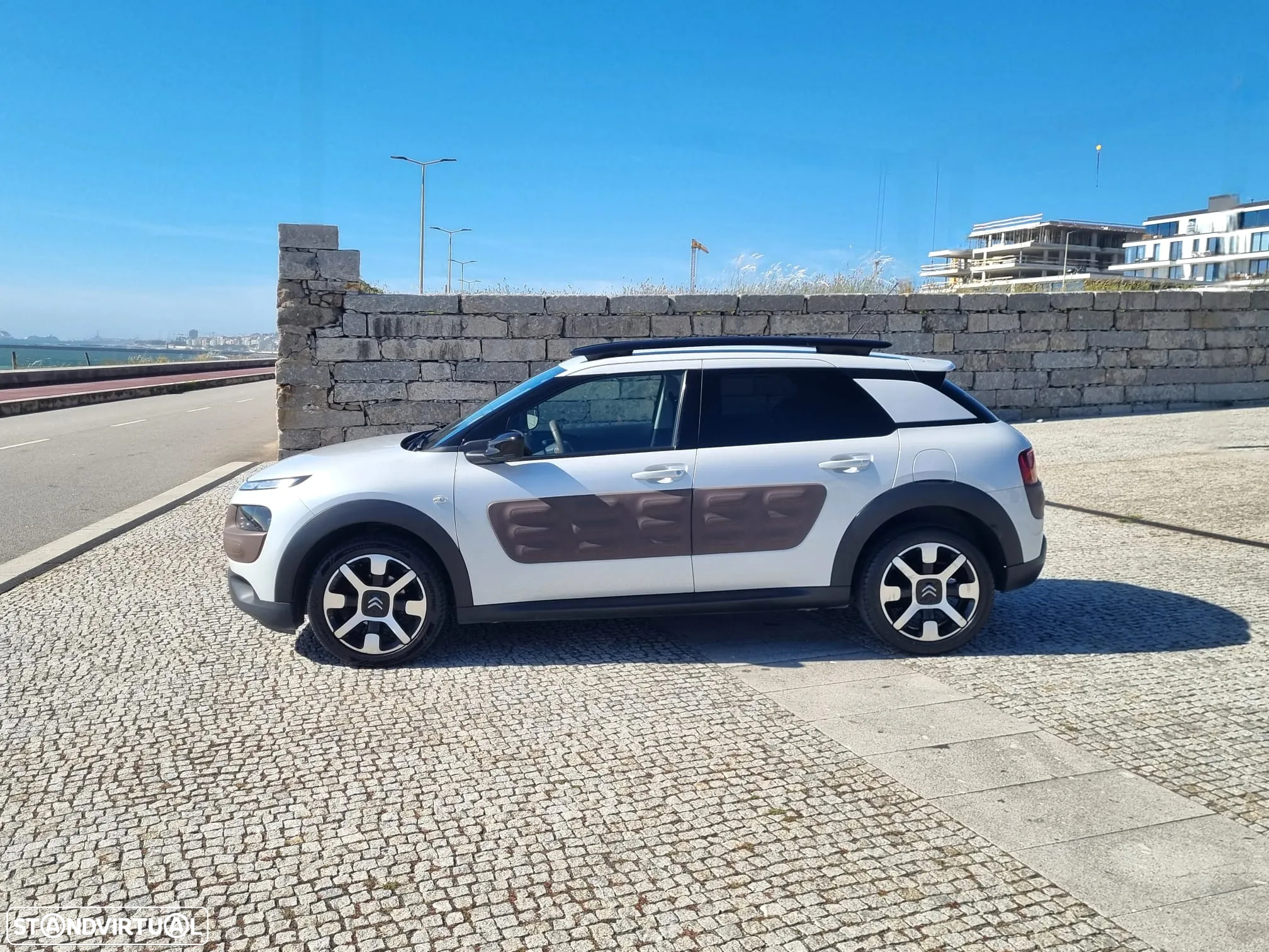 Citroën C4 Cactus 1.6 BlueHDi Shine - 19