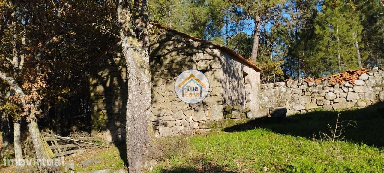 Quinta com Casa em Pedra com 5.455 m2 em Bodiosa a 10 km de Viseu - Grande imagem: 3/17