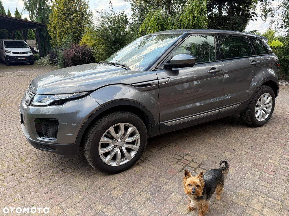 Land Rover Range Rover Evoque 2.0eD4 SE Dynamic - 5