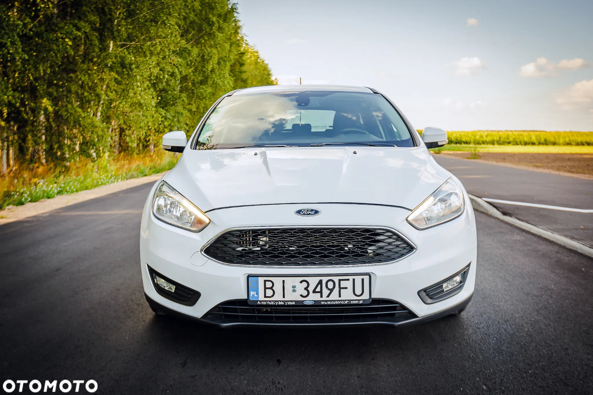 Ford Focus 1.5 EcoBlue Connected - 14