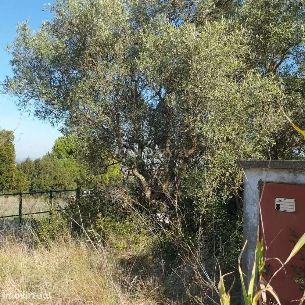 Fantástico e grandioso terreno em Alenquer - Grande imagem: 4/12