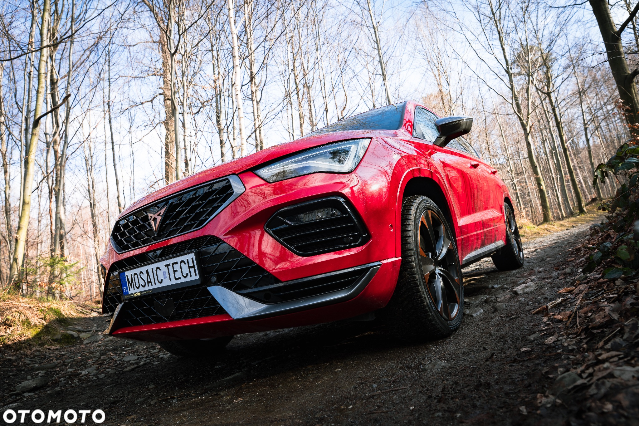 Cupra Ateca 2.0 TSI 4Drive DSG - 9