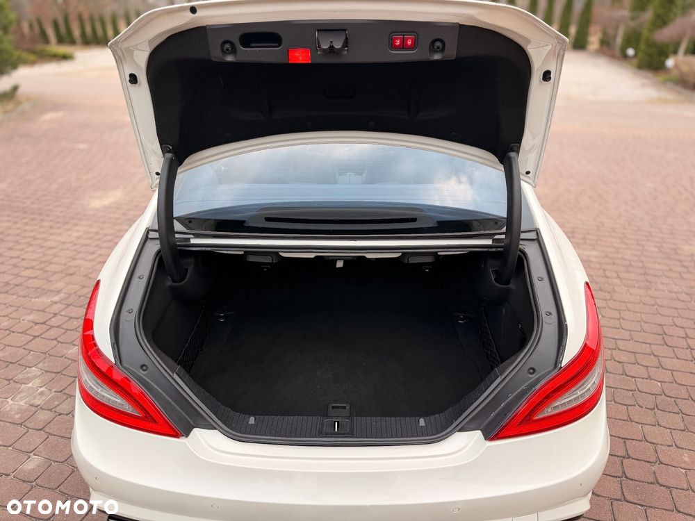 Mercedes-Benz CLS 500 BlueEffICIENCY - 29
