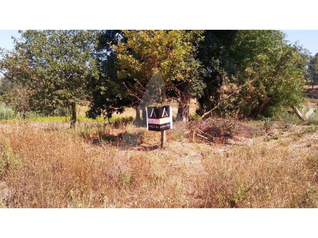Terreno para construção de moradia uni-familiar em Oiã - Grande imagem: 4/10