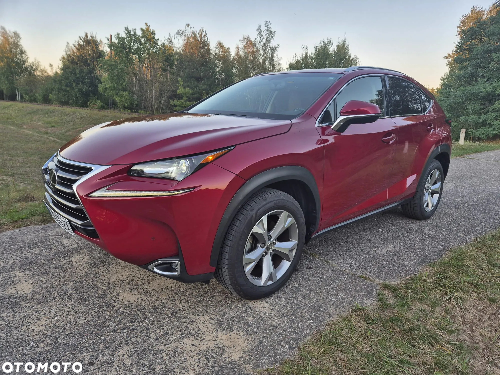 Lexus NX 200t Elite 2WD - 21