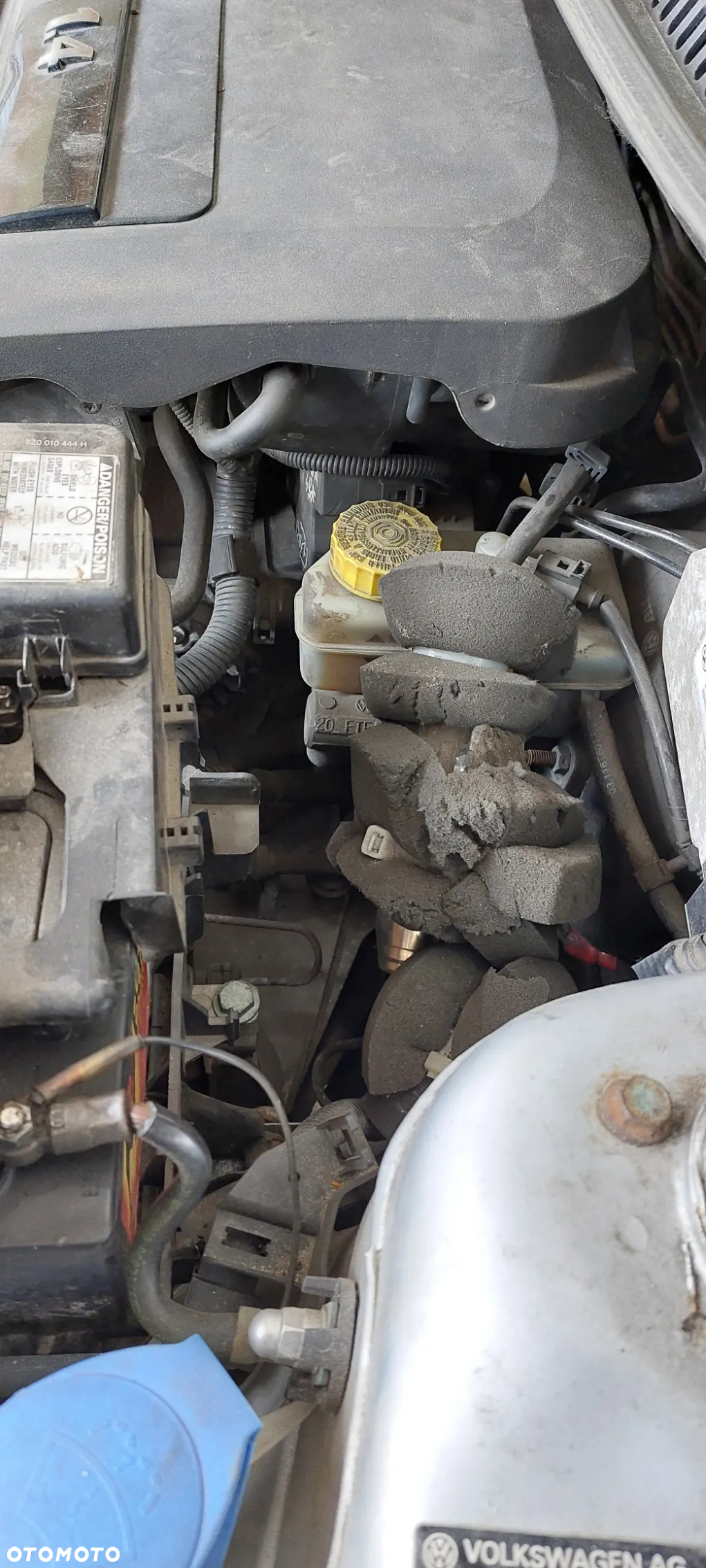 Volkswagen Polo - 20