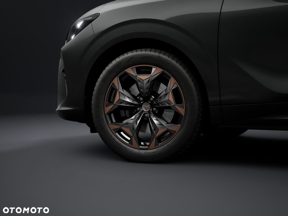 Cupra Terramar 2.0 TSI 4Drive DSG - 4