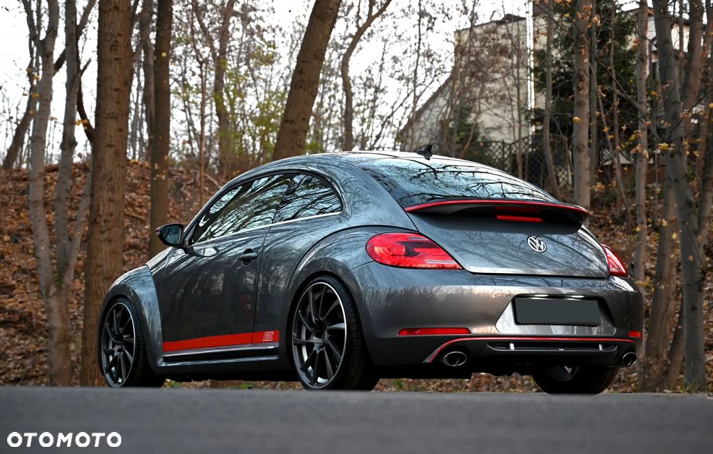 Volkswagen Beetle - 21