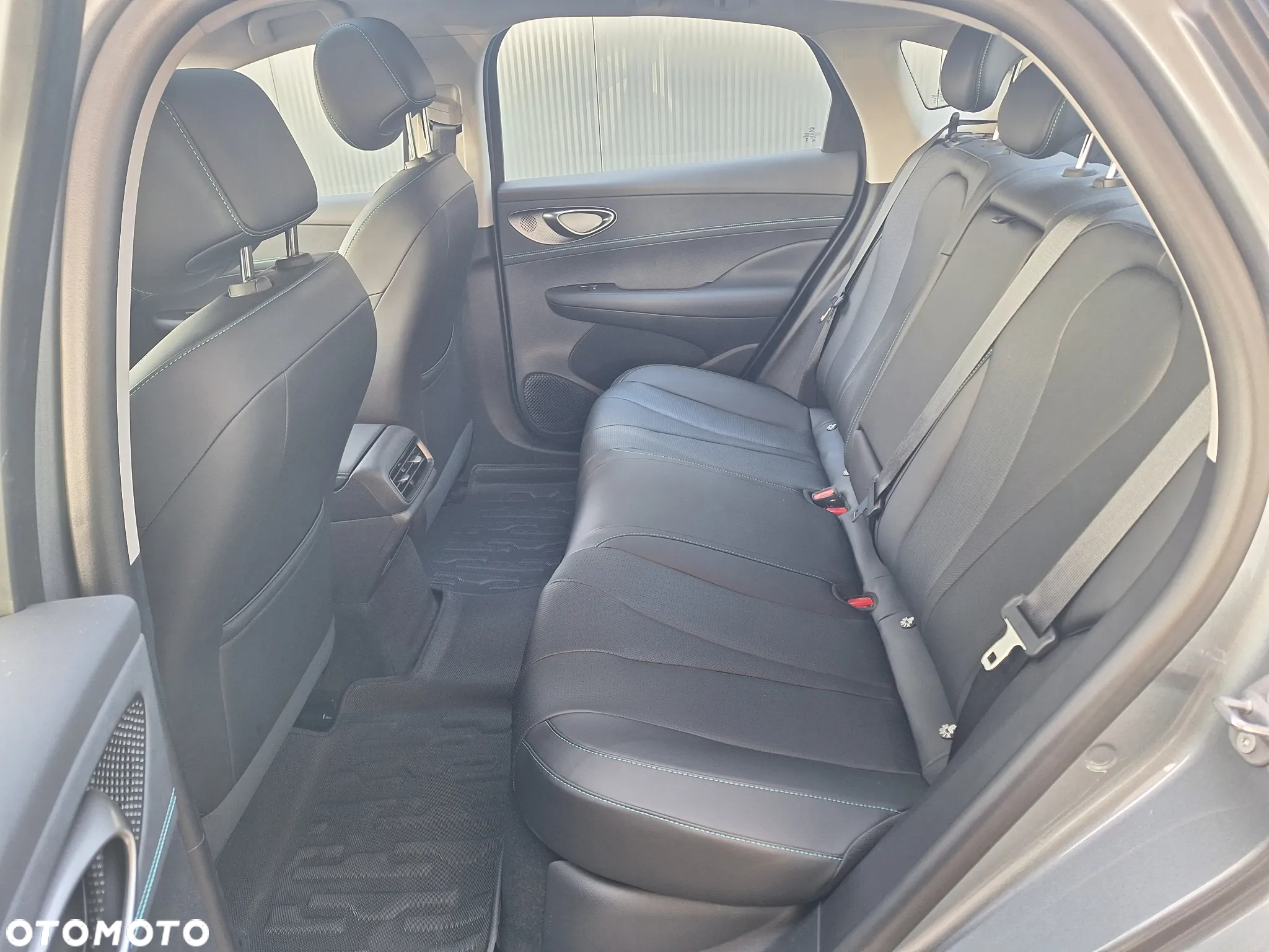 BYD Inny - 10