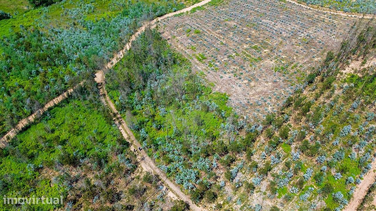 Terreno  para venda - Grande imagem: 2/17
