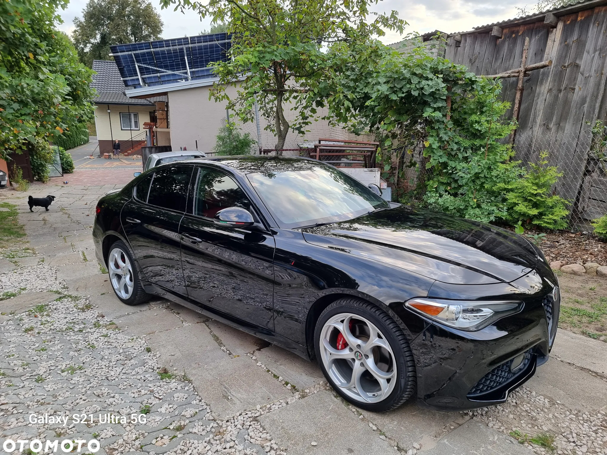 Alfa Romeo Giulia 2.0 Turbo 16V AT8-Q4 Veloce Ti - 13