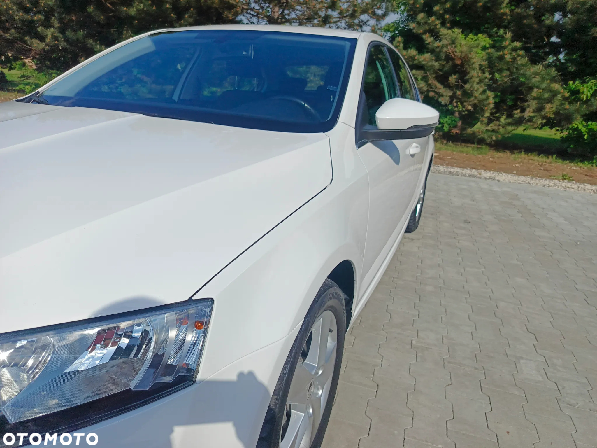 Skoda Octavia 1.6 TDI Greenline - 18