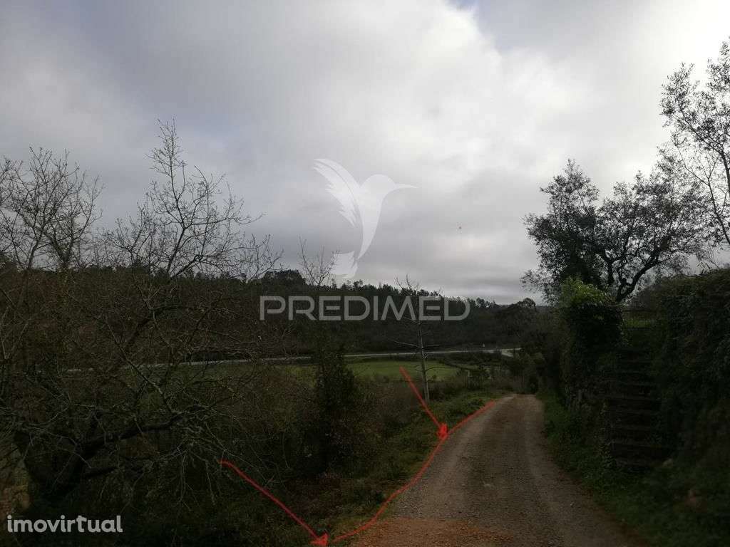 Lote terreno 3 337 m2 construção- Mata- Condeixa-a-Nova - Grande imagem: 5/6
