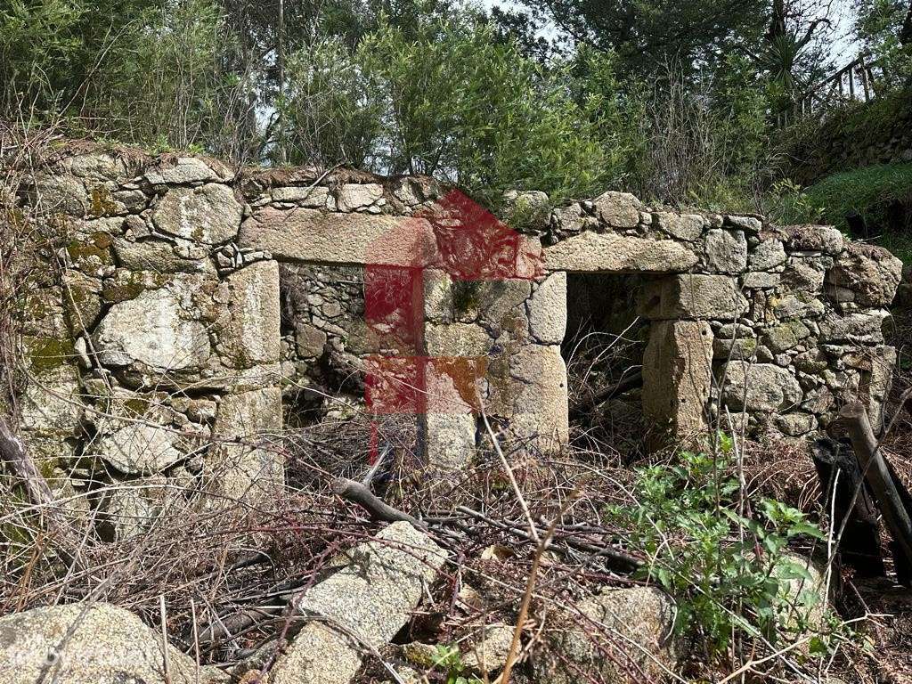 Ruina em Pedregais - Grande imagem: 2/24