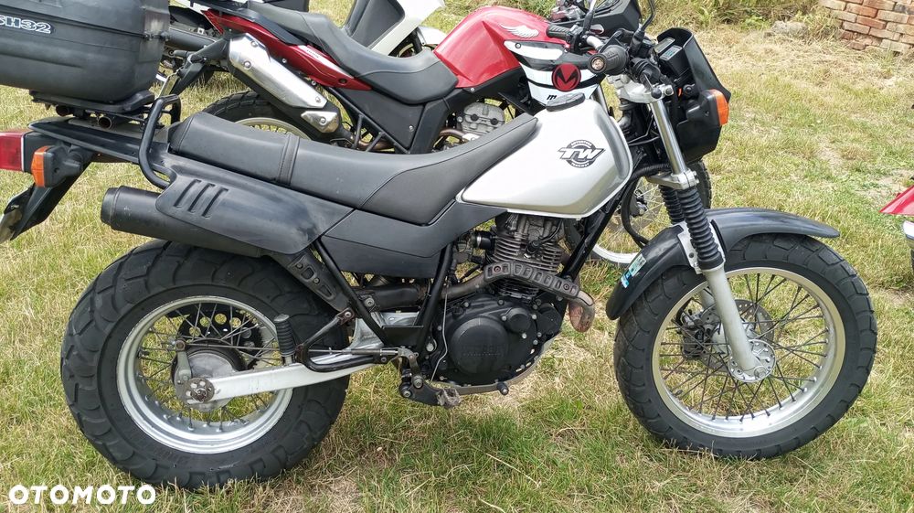 Honda Shadow - 21