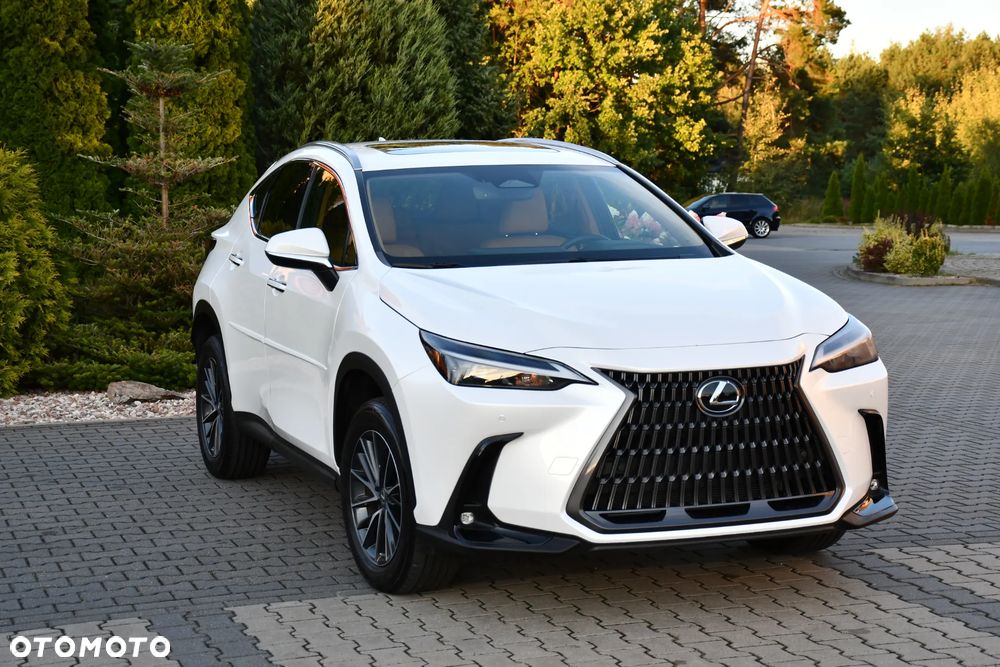Lexus NX - 22