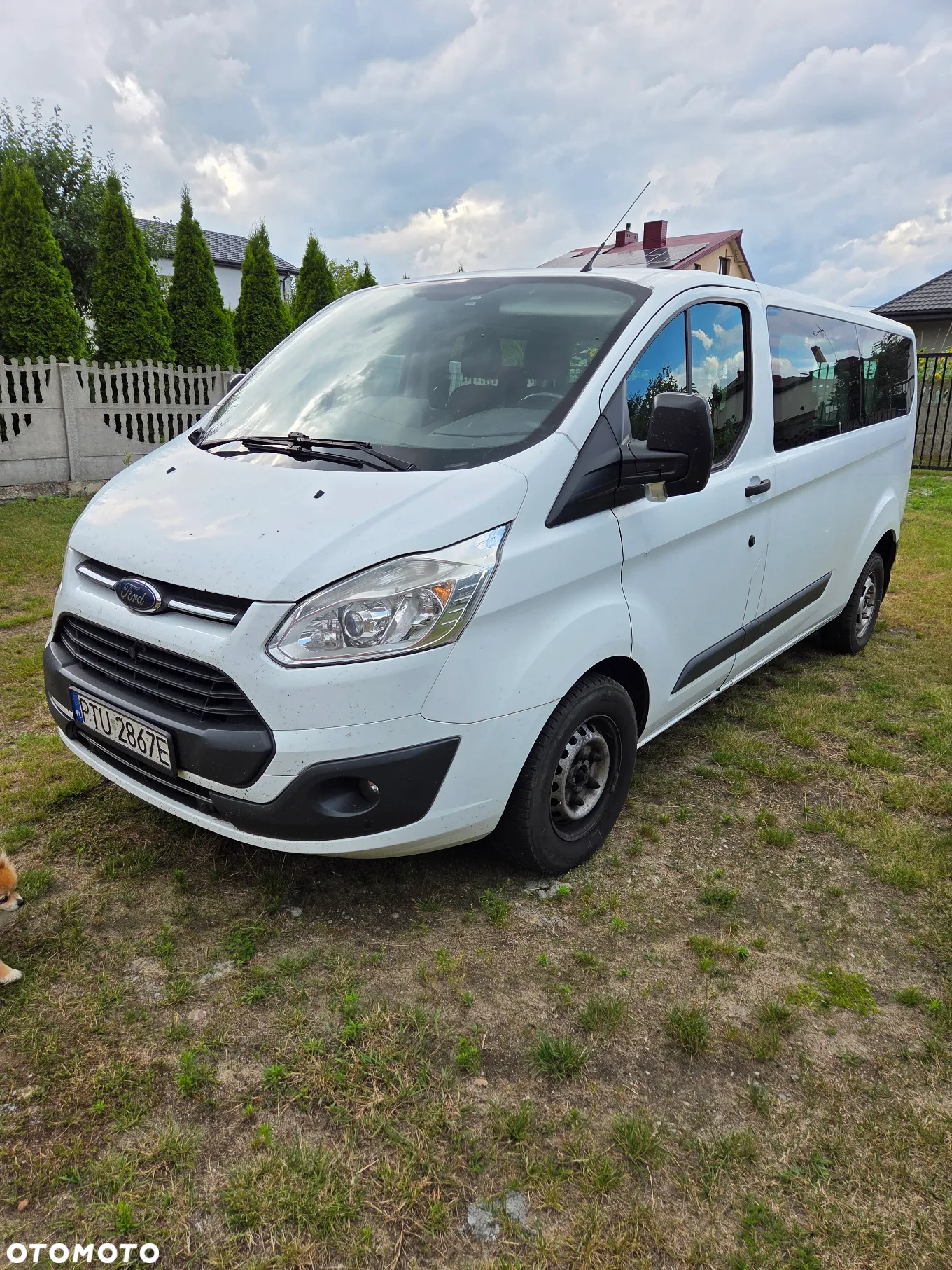 Ford Transit Custom 310 L2H1 Trend - 2