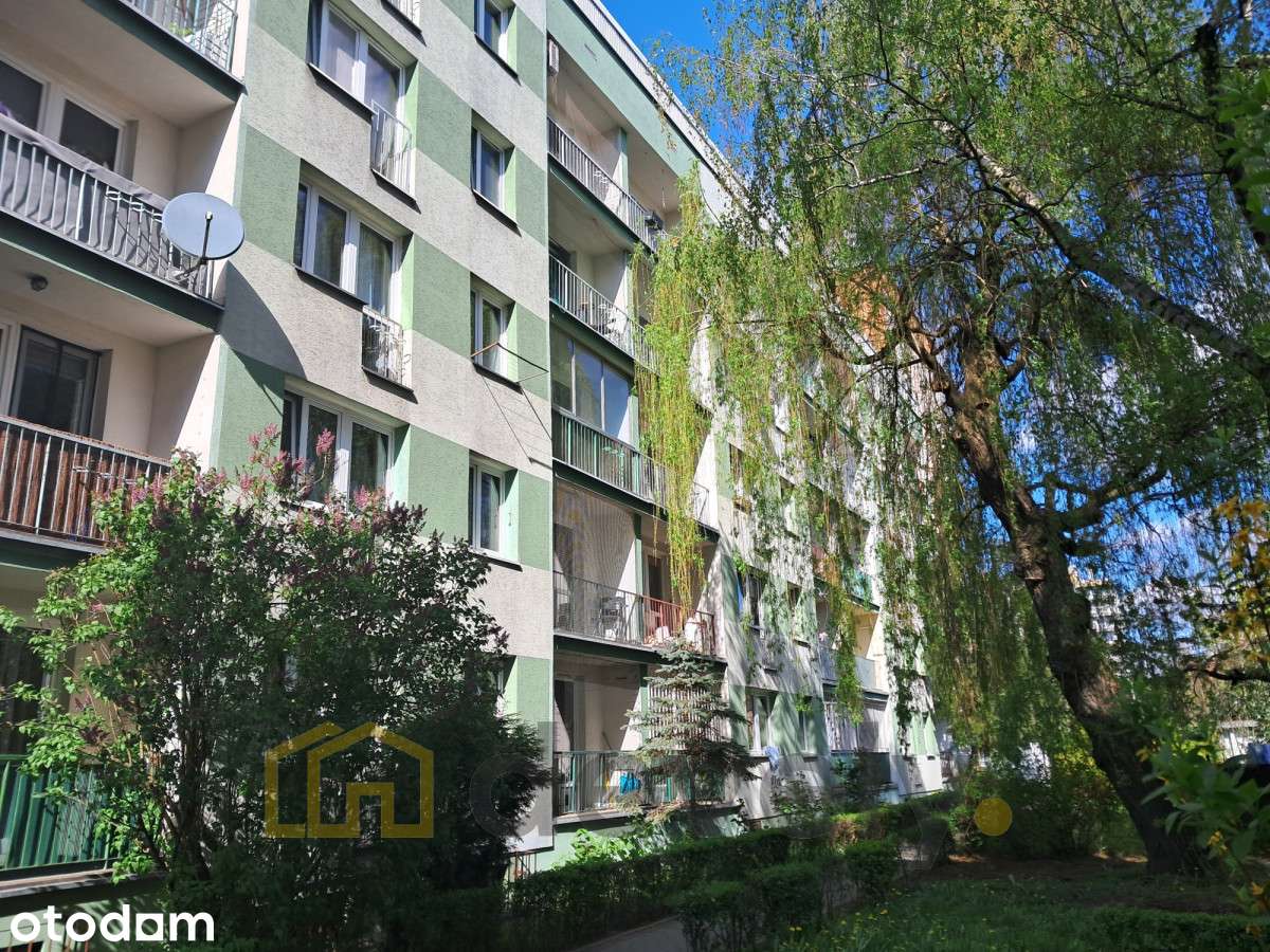 2 pokoje, kuchnia, balkon /tramwaj - Al. Pokoju