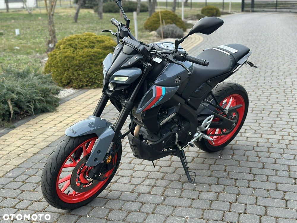 Yamaha MT - 6