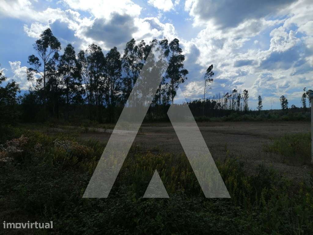 Terreno Rústico com viabilidade de construção industrial. - Grande imagem: 4/8