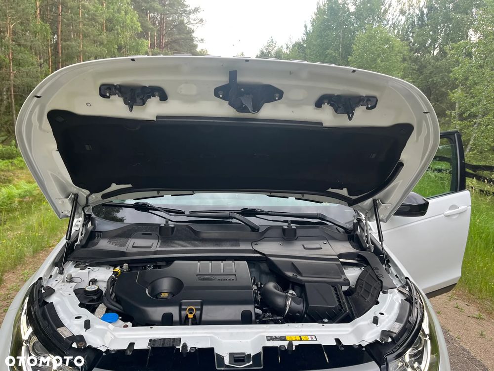 Land Rover Discovery Sport eD4 Pure - 30