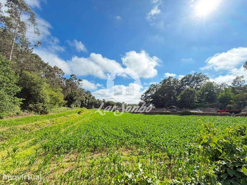 Terreno para Construção de Moradias individuais 12.000 m² na Junque... - Grande imagem: 5/22