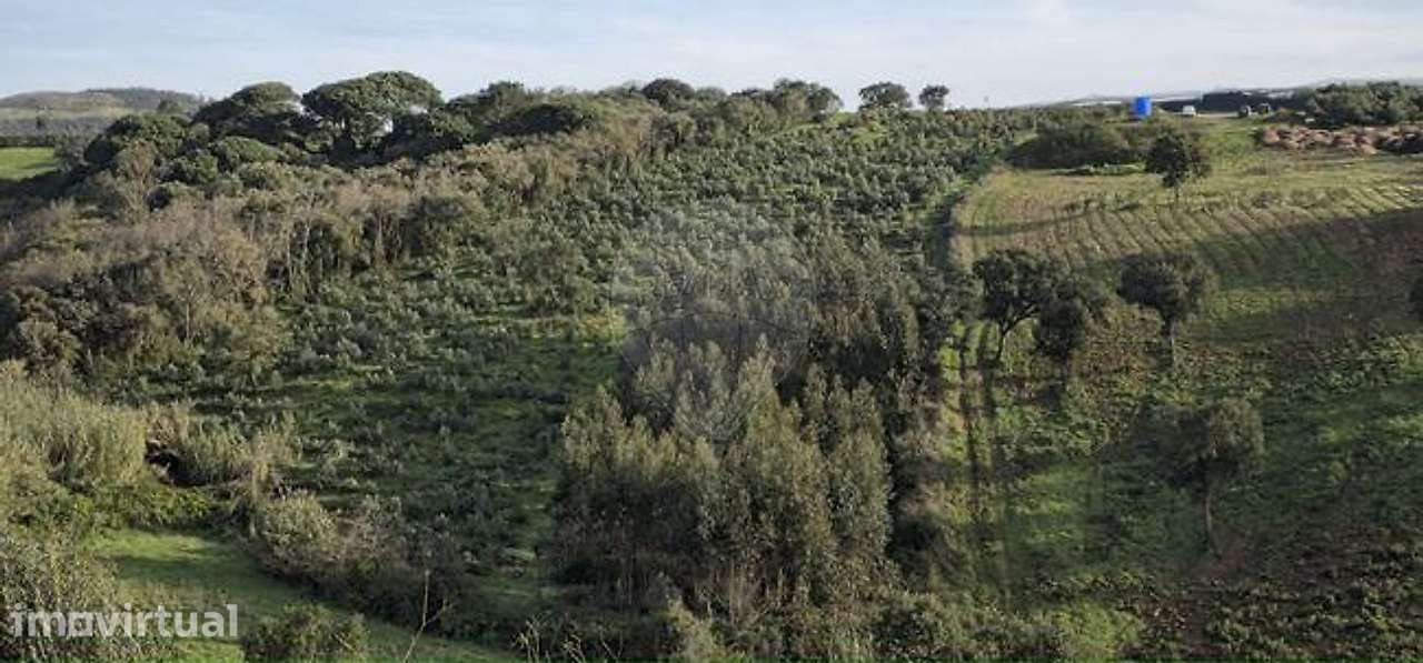 Terreno  para venda - Grande imagem: 3/7