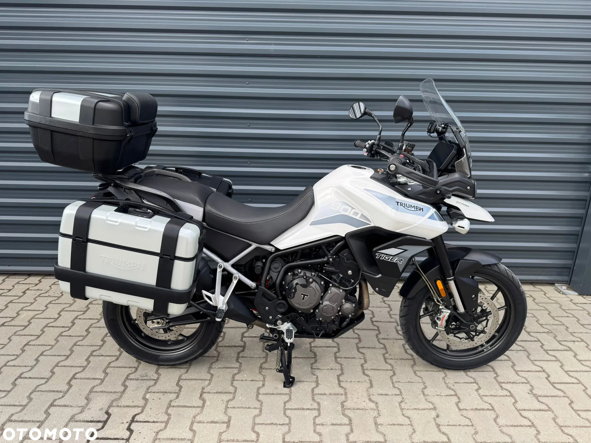 Triumph Tiger - 2